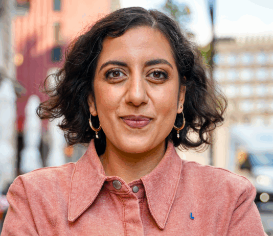 Liberalerna sier nei til Sverigedemokraterna i regjering