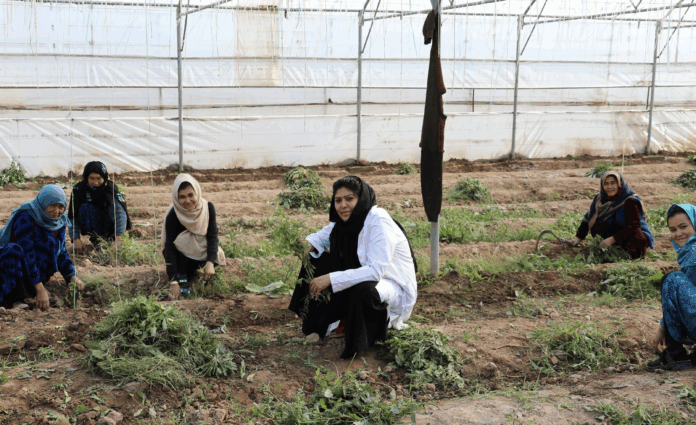 afg-women.png
