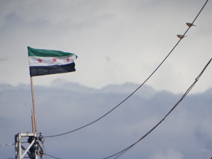 syria flagg fugler