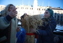 Økning i antall ukrainere i arbeid