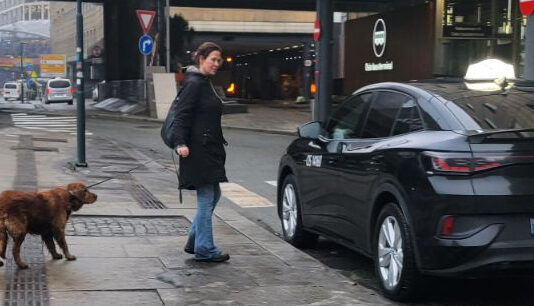 Hund i taxi ER et problem i Oslo