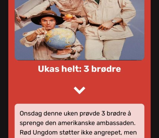 Når Rødt bagatelliserer vold