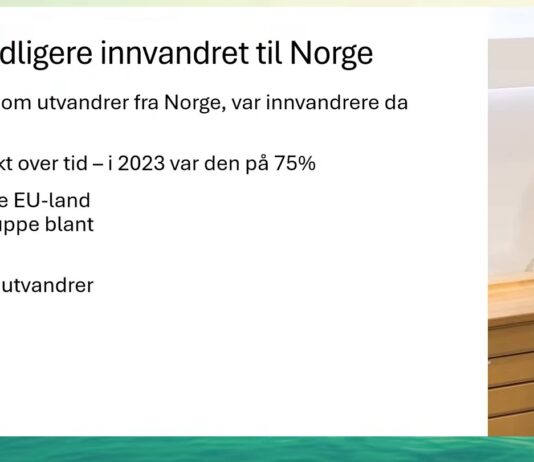 30.000 forlater Norge hvert år: Forskere peker på ensomhet, utenforskap og arbeidslivets svakheter