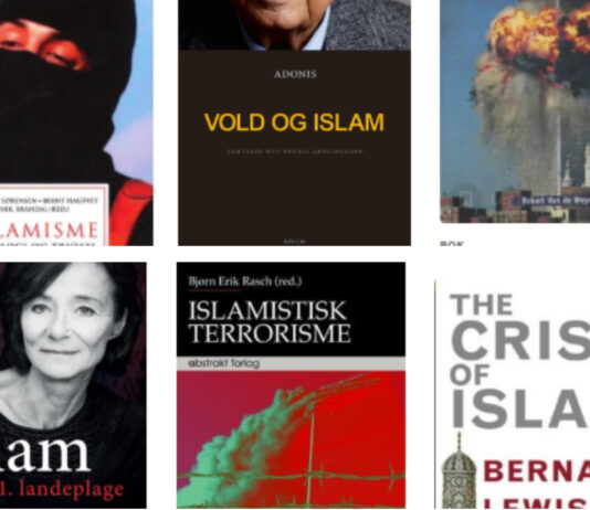 Disse bøkene kommer øverst i søket «islam» på Deichman