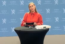 PST: Grov vold på nettet kan føre unge inn i radikalisering