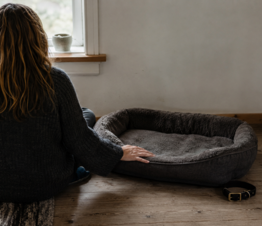 Ikke fortell meg at sorgen over et dyr betyr mindre