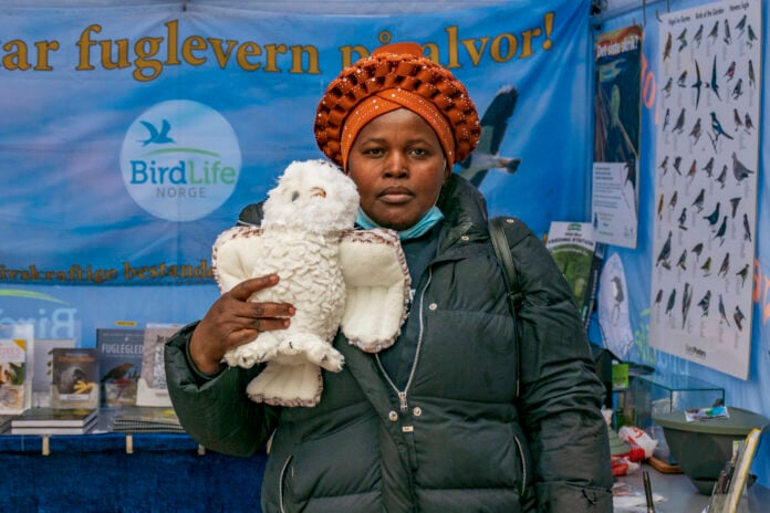 birdlife