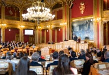 Tolv flerkulturelle representanter – fordelt på sju partier