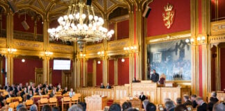 Tolv flerkulturelle representanter – fordelt på sju partier